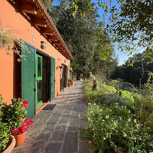 finca-el-lance-zumacal.in-canary-islands.com/